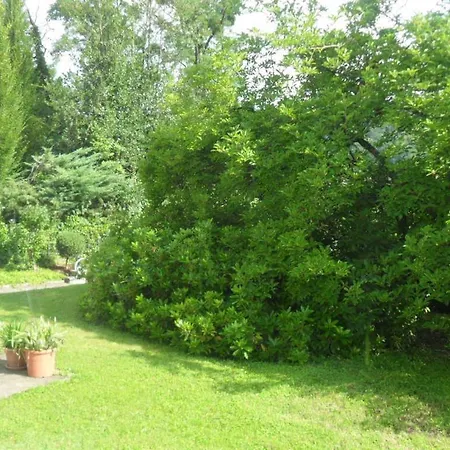 Apartment Haus Sahlbach *